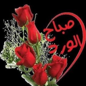 Meet your Posher, Ghizlane